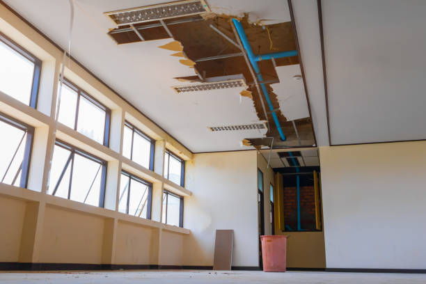 Best Flooded house restoration  in Orland Park, IL