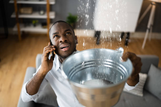 Best Local water damage restoration  in Orland Park, IL