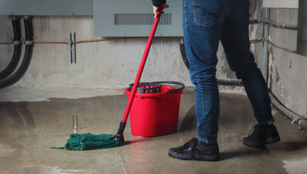 Best 24-hour water damage restoration  in Orland Park, IL