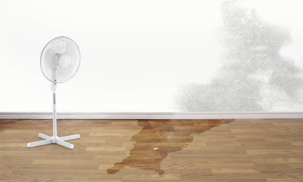 Best Fire Damage Restoration  in Orland Park, IL