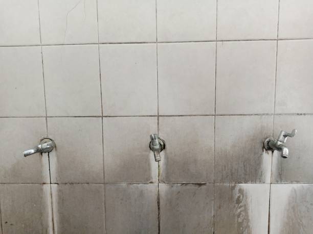 Best Carpet water damage restoration  in Orland Park, IL