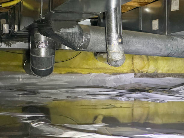 Best Water damage cleanup near me  in Orland Park, IL