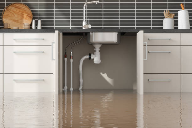Best Ceiling water damage repair  in Orland Park, IL