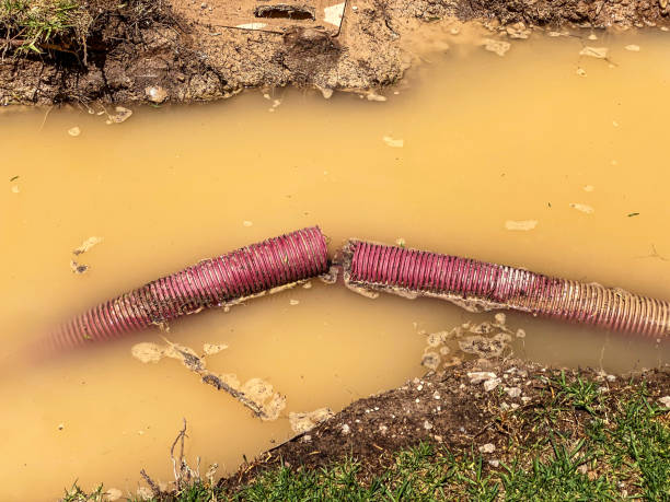 Best Sewage cleanup and water damage restoration  in Orland Park, IL