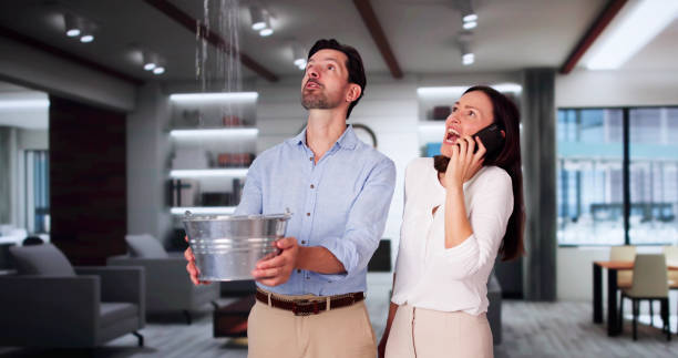 Best Water damage mitigation services  in Orland Park, IL